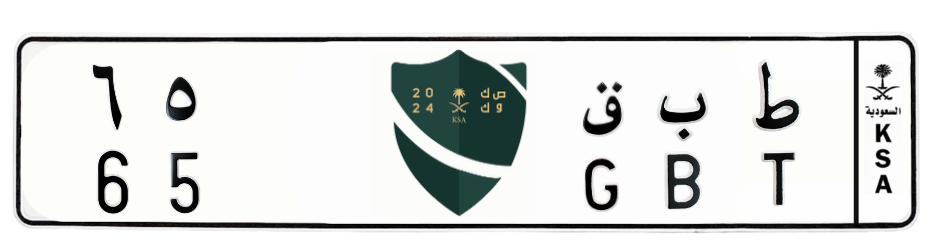 لوحة ط ب ق 65